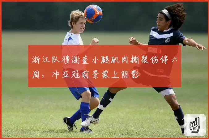 浙江队穆谢奎小腿肌肉撕裂伤停六周，冲亚冠前景蒙上阴影